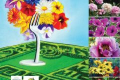 broszura KFKJ.pdf - 1