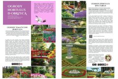 broszura KFKJ.pdf - 8