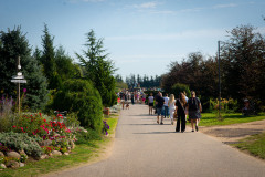 DSC_0742_xs_1-—-kopia