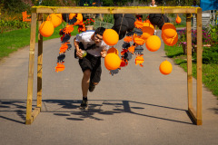 DSC_0750_xs_1-—-kopia