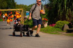 DSC_0782_xs_1-—-kopia