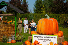 DSC_0810_xs_1-—-kopia