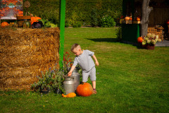 DSC_0845_xs_1-—-kopia