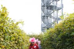 Dzien-Swira-2018-OHS-20