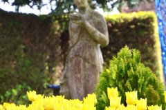 DSC_8392_S