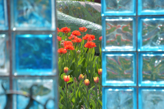 DSC_8431_S