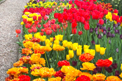 IMG-20250505-WA0144s