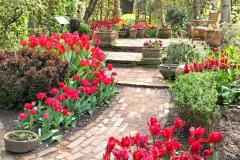 IMG-20250507-WA0001