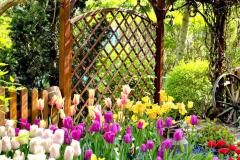 IMG-20250507-WA0032