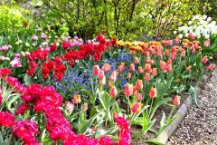 IMG-20250507-WA0046
