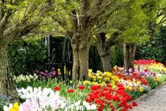 IMG-20250507-WA0064