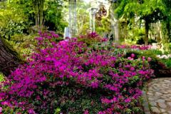 IMG-20250507-WA0084