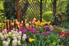 IMG-20250507-WA0123