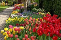 IMG-20250507-WA0138