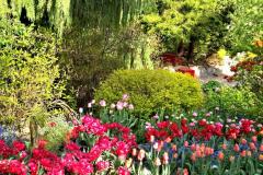 IMG-20250507-WA0142