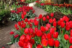 IMG-20250507-WA0160
