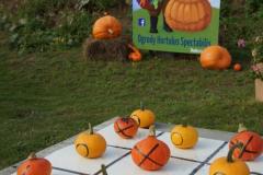 DSC05359_xs