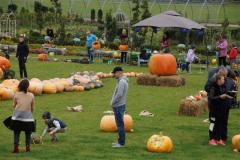 DSC05480_xs