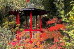 WhatsApp-Image-2025-10-14-at-11.46.07