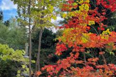 WhatsApp-Image-2025-10-14-at-11.46.131