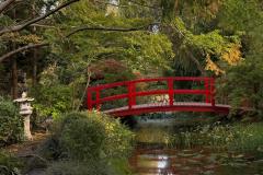 WhatsApp-Image-2025-10-14-at-11.46.132