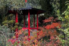 WhatsApp-Image-2025-10-14-at-11.46.133