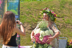 ogrody-hortulus-spectabilis-kwiaty-jadalne-kwiatostan-26