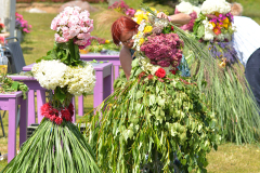 ogrody-hortulus-spectabilis-kwiaty-jadalne-kwiatostan-27