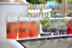 gardeniada-i-woda-owocowa-gastronomia-hortulus