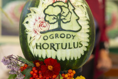 kwiatostan-ogrody-hortulus-spectabilis-dobrzyca95xs