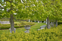 DSC_0788s