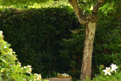 zwiedzanie nad morzem