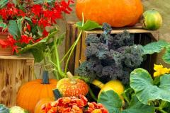 WhatsApp-Image-2025-09-03-at-18.08.00