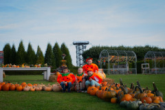 festiwal-dyni-ogrody-hortulus.jpg