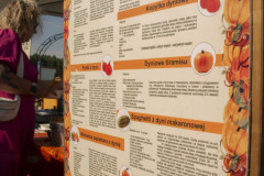 kolorowe-dynie-farma-dyniowa.jpg