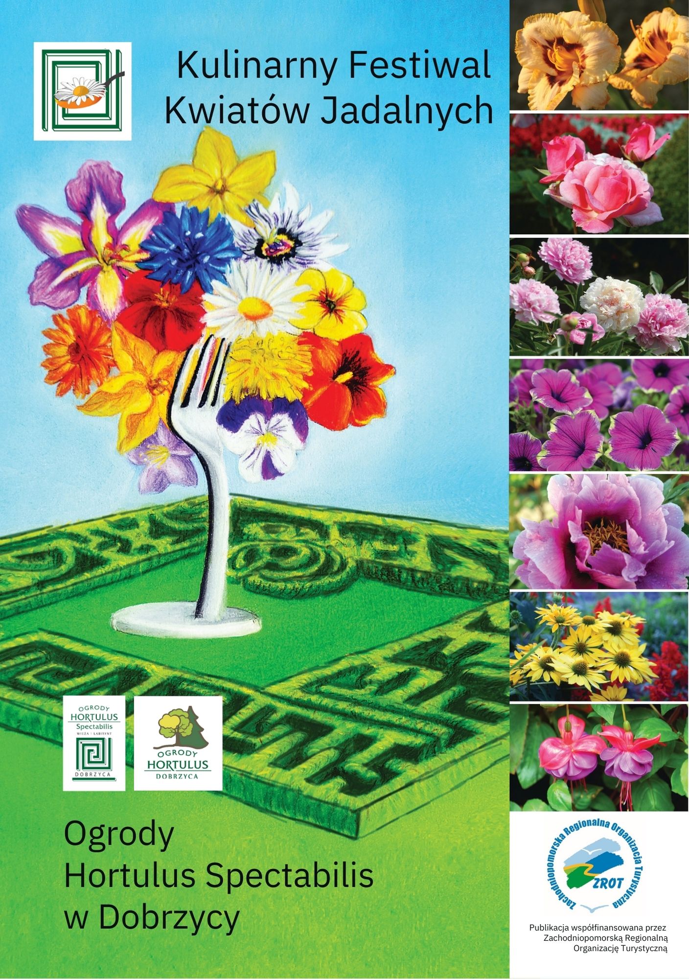 Początki Kulinarnego Festiwalu Kwiatów Jadalnych