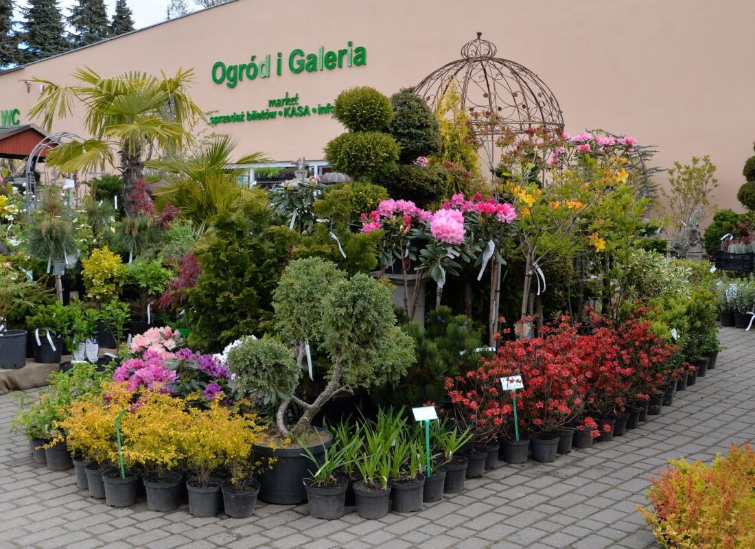 Centrum ogrodnicze i market Hortulus