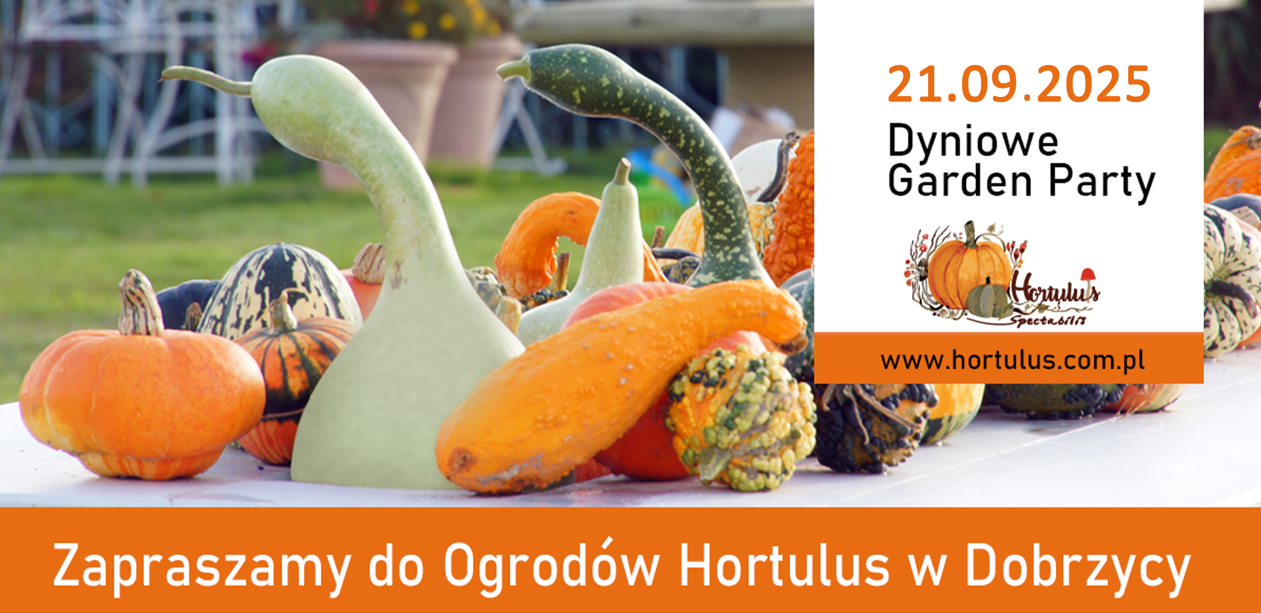 Zostań wystawcą Dyniowego Garden Party!