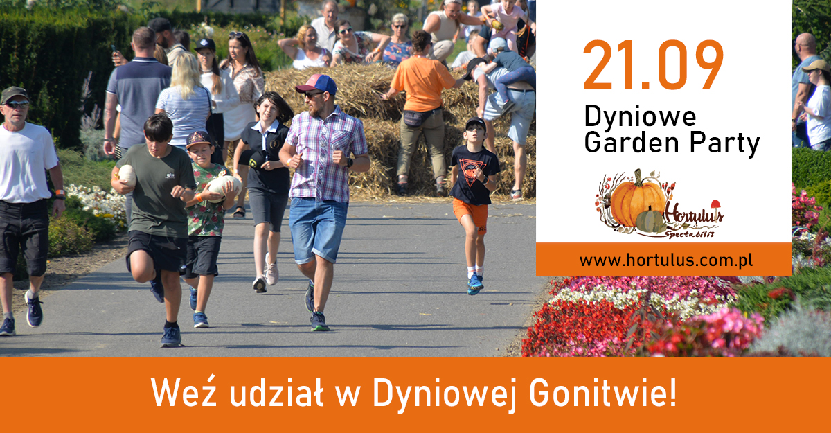 Weź udział w Dyniowej Gonitwie!