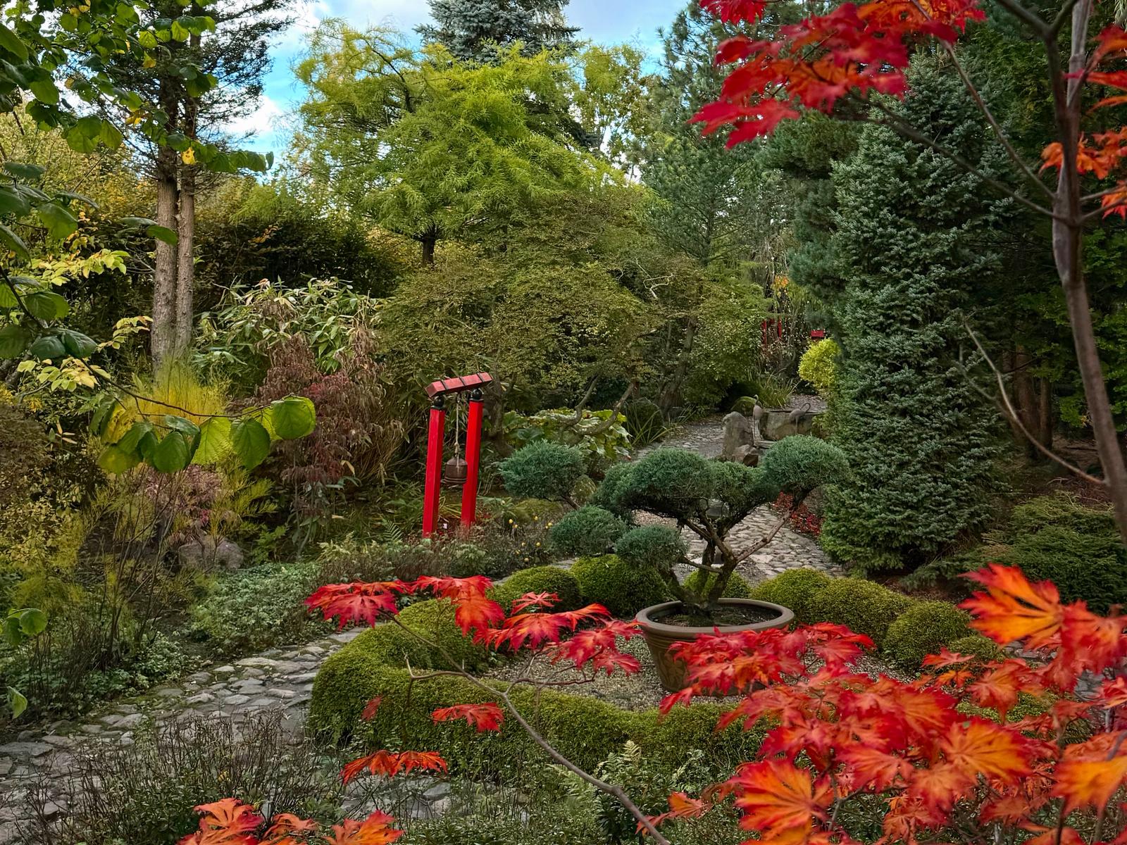 Złota jesień w Ogrodach Hortulus!