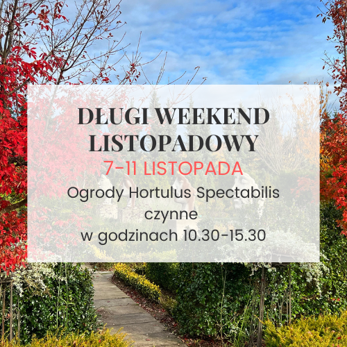 Długi weekend listopadowy w Ogrodach Hortulus