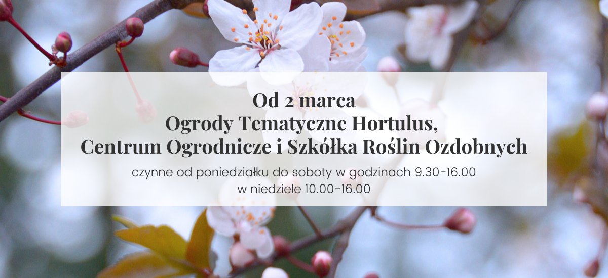 Sezon ogrodowy rozpoczęty – zapraszamy 7 dni w tygodniu