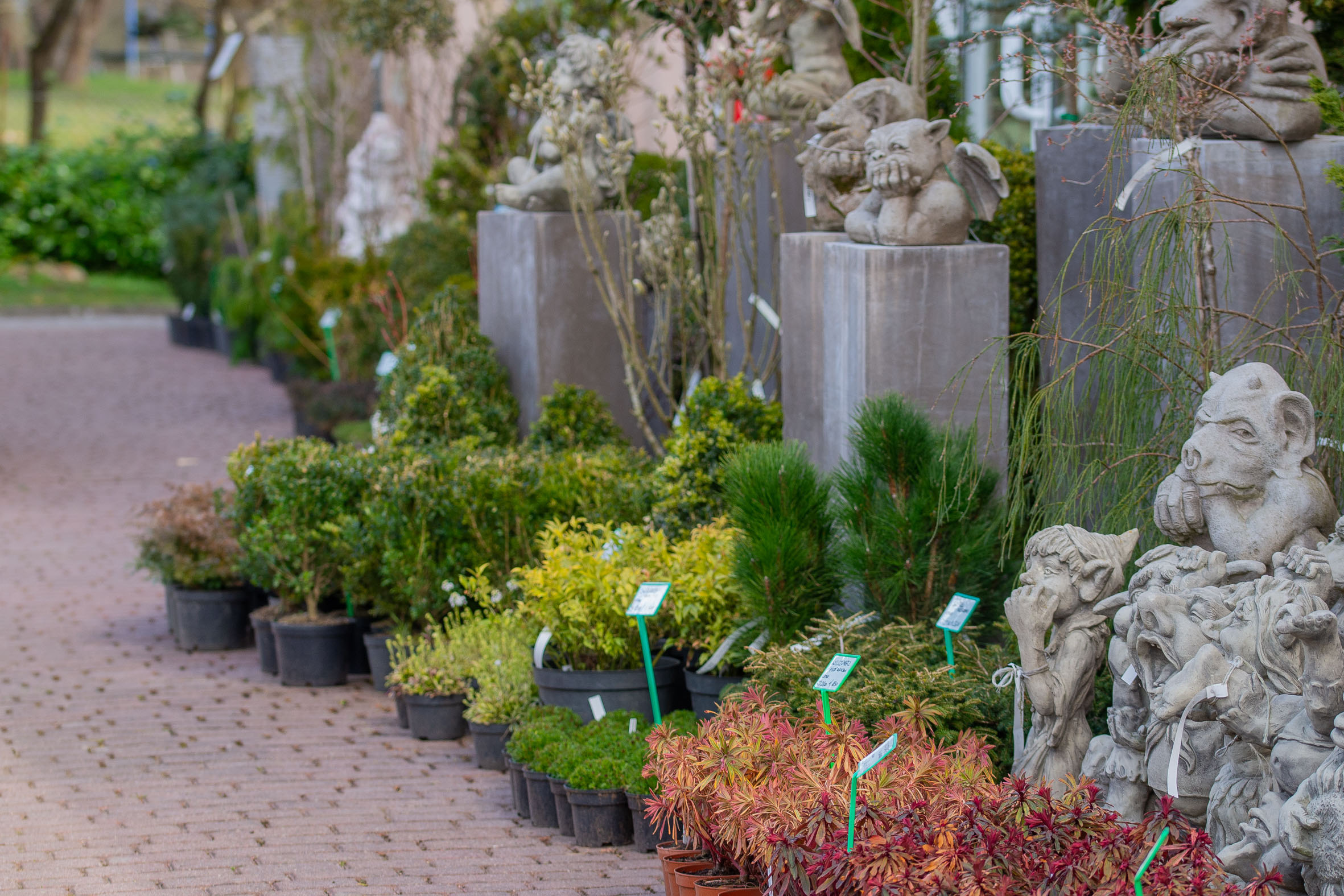 Przygotuj ogród na sezon – wszystko znajdziesz w jednym miejscu