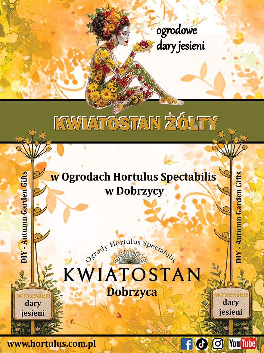 Kwiatostan Żółty 2026 – Jesień w Ogrodach Hortulus Spectabilis